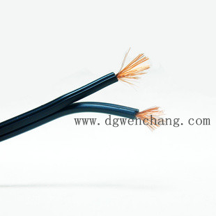 SPT-1W  Electrical Cable with PVC Insulated Material, Suitable for Outdoor Used